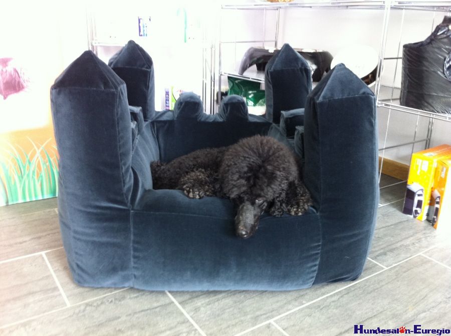 img_1334756683_973_lg