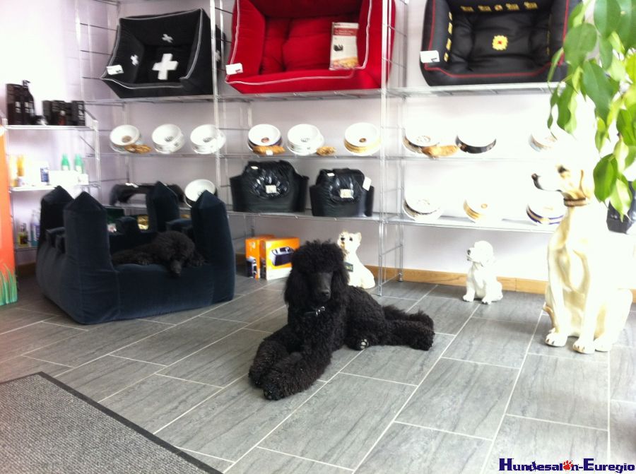 img_1334756687_843_lg