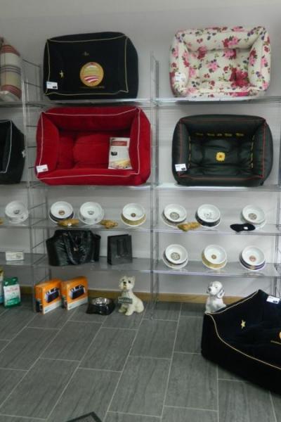 Salon Euregio Salon 7